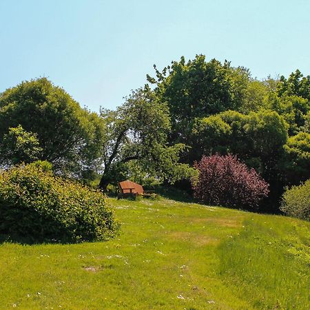 Lejasbisenieki Villa Turaida Екстериор снимка